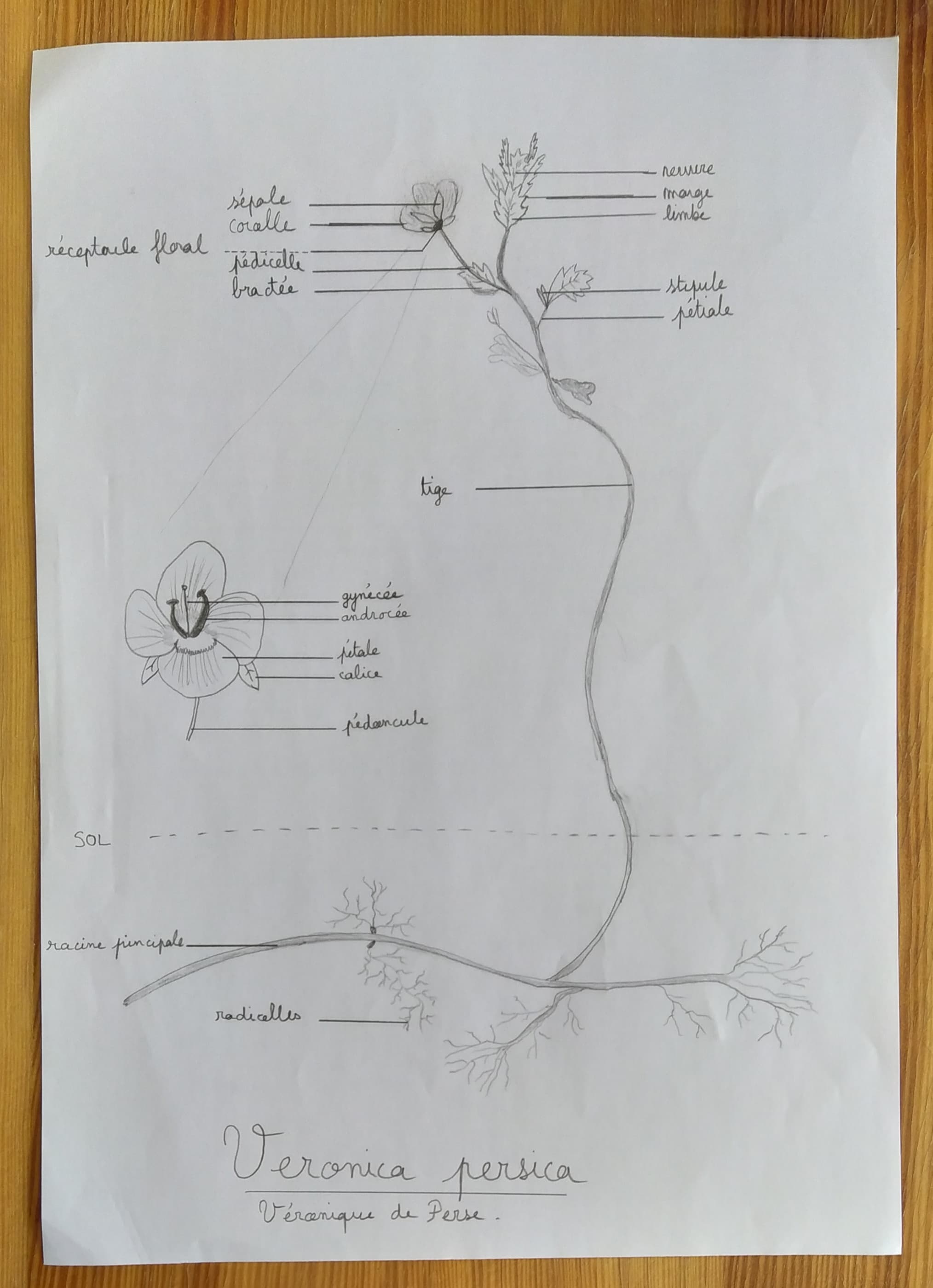 Annexe 92184182_623379798211448_8440519465820487680_n.jpg