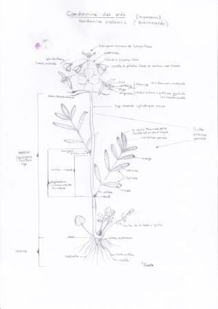 Annexe forum lyj.jpg