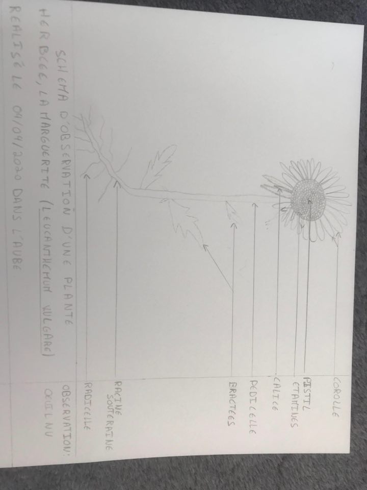 Annexe 92135672_822534098224824_8854509297602658304_n.jpg