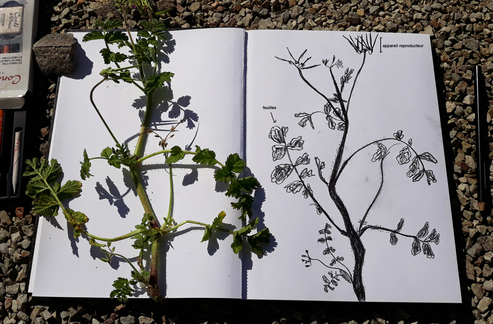 Annexe bota seance 2.jpg