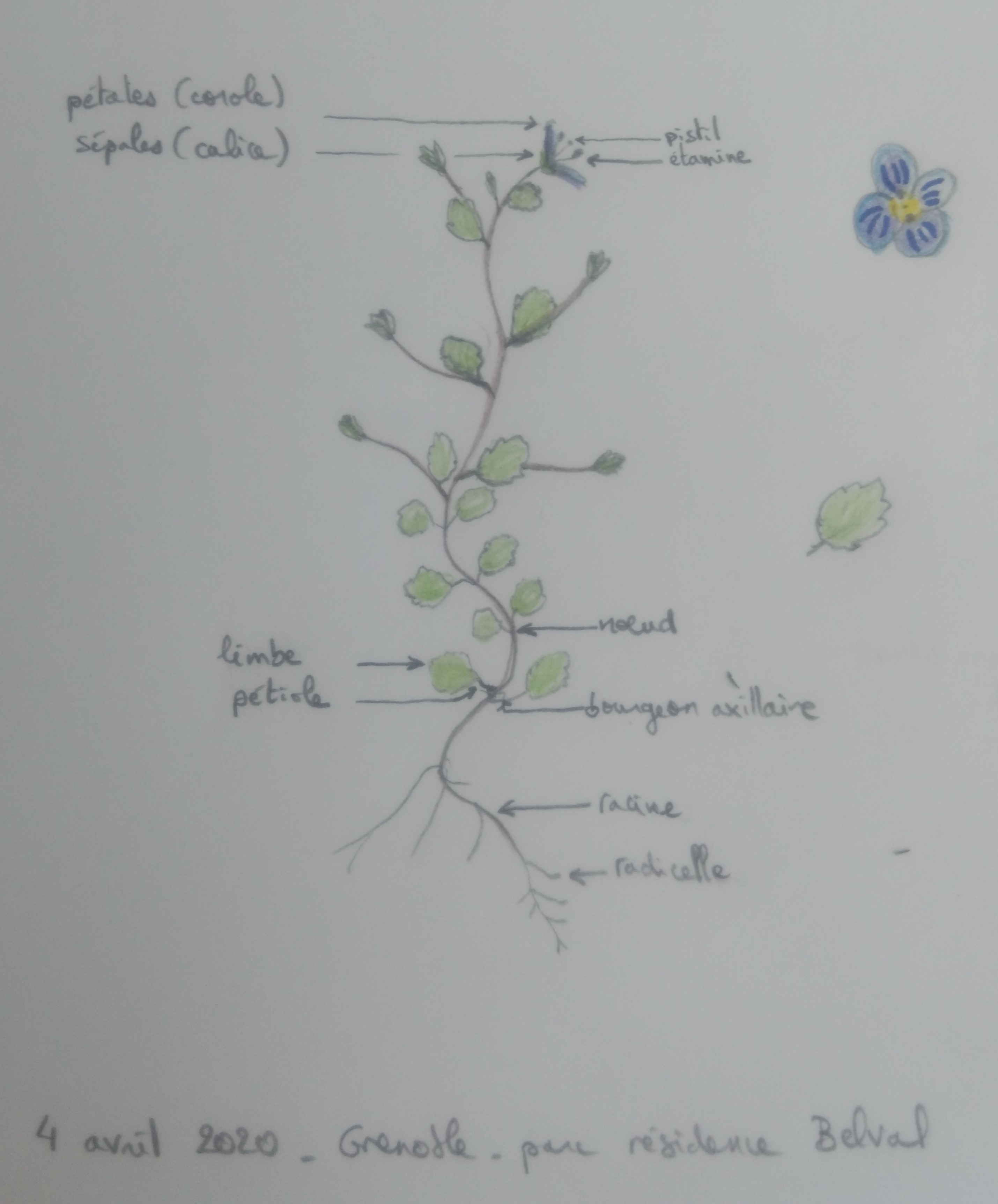 Annexe IMG_20200404_151136.jpg