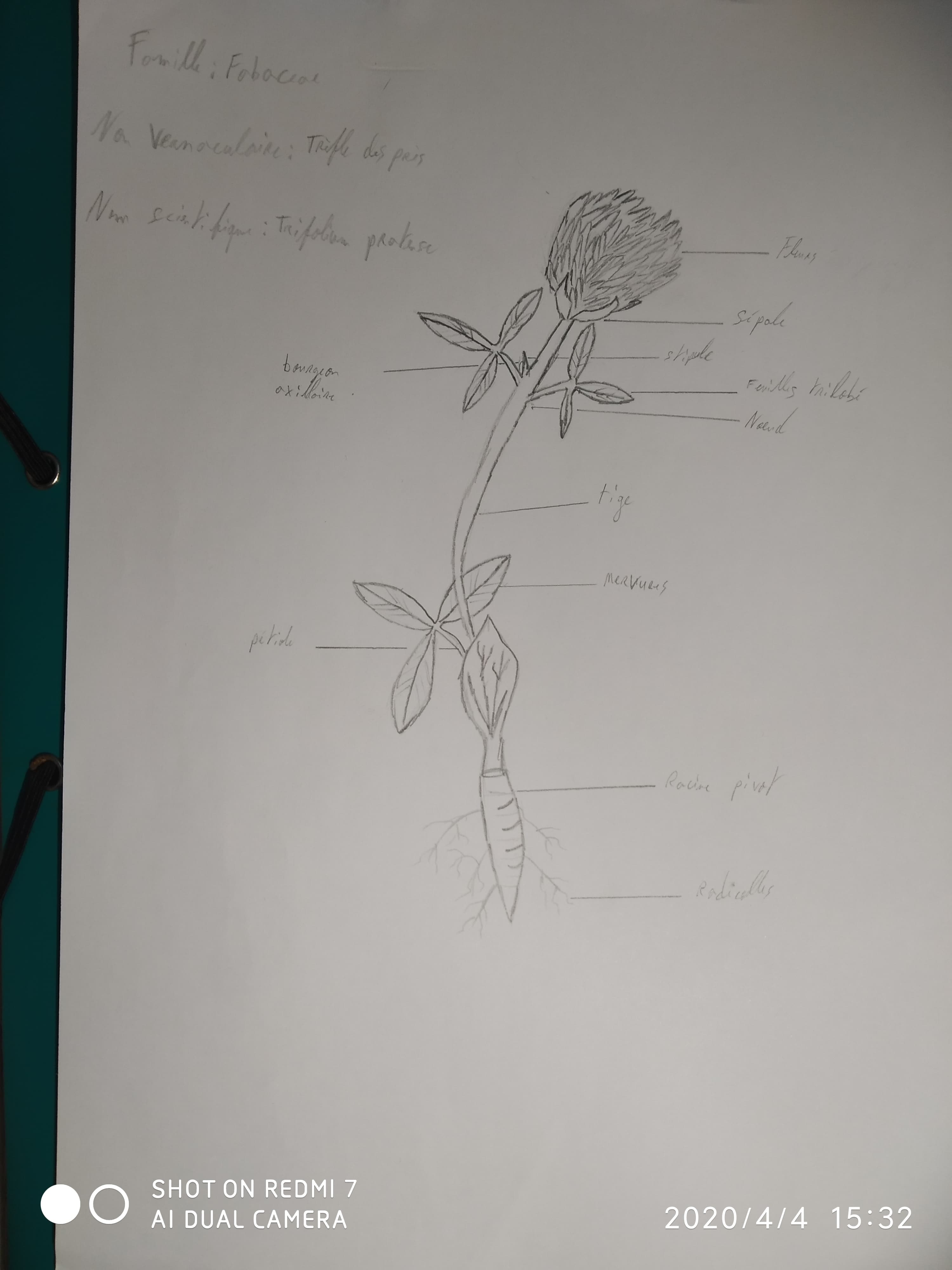 Annexe 91935167_231641931366269_6938905801427779584_n.jpg