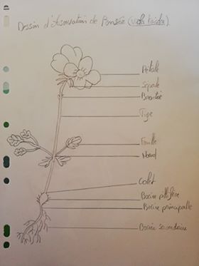 Annexe 92460665_267532844258819_8790903408929275904_n.jpg