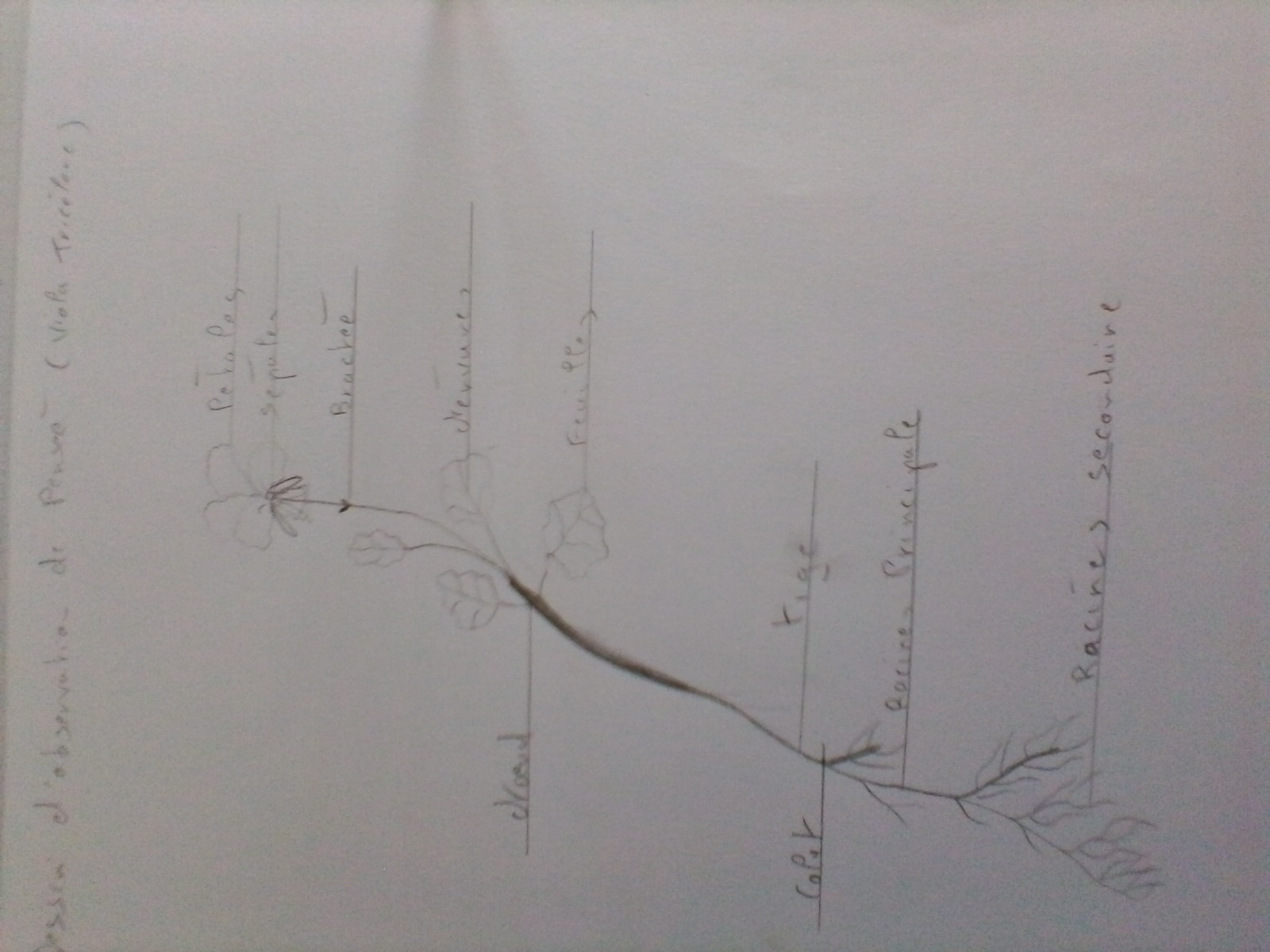 Annexe P_20200404_161831.jpg