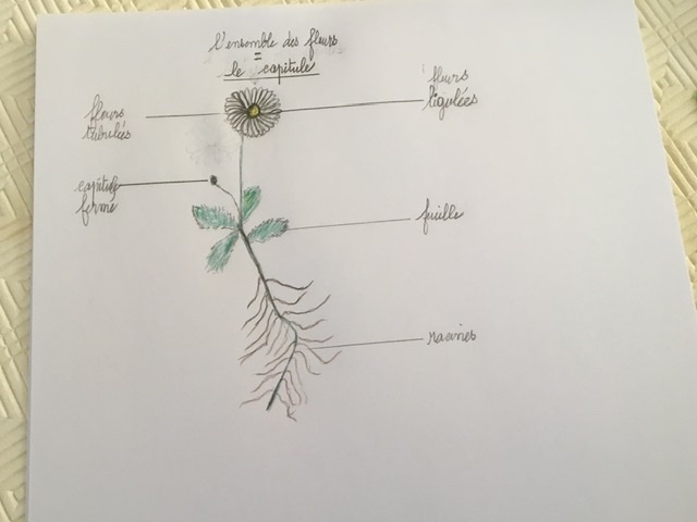 Annexe 2F93920F-E843-492B-AF36-F55D26EE2CDF.jpeg