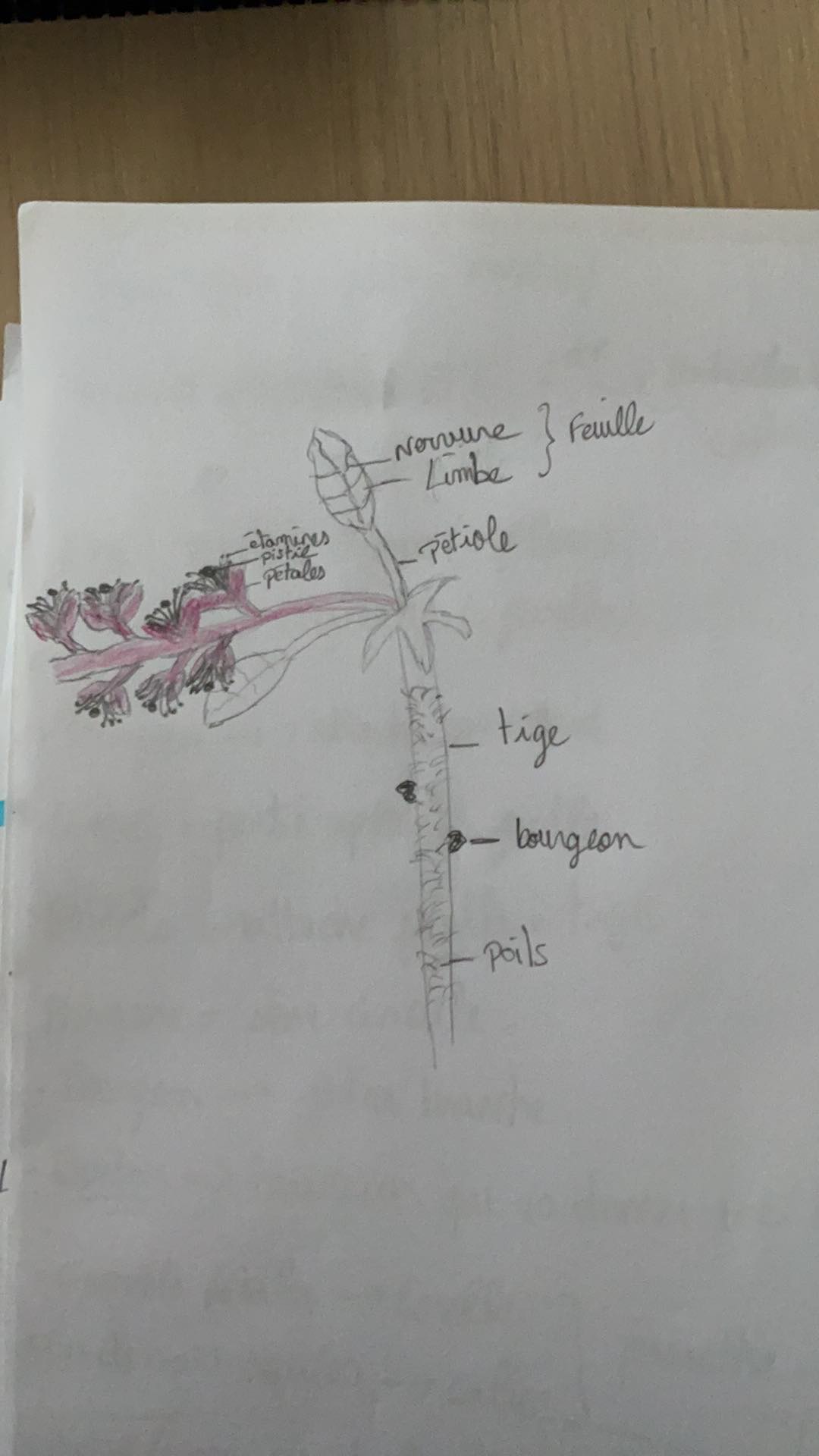 Annexe 91606768_147372650028568_5342796989597745152_n.jpg