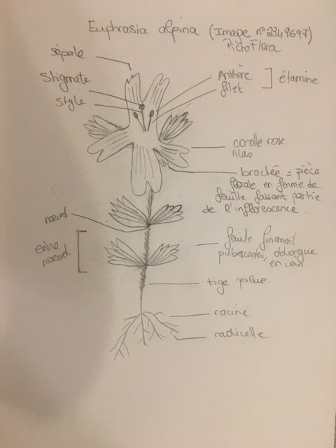 Annexe image0-min.jpeg