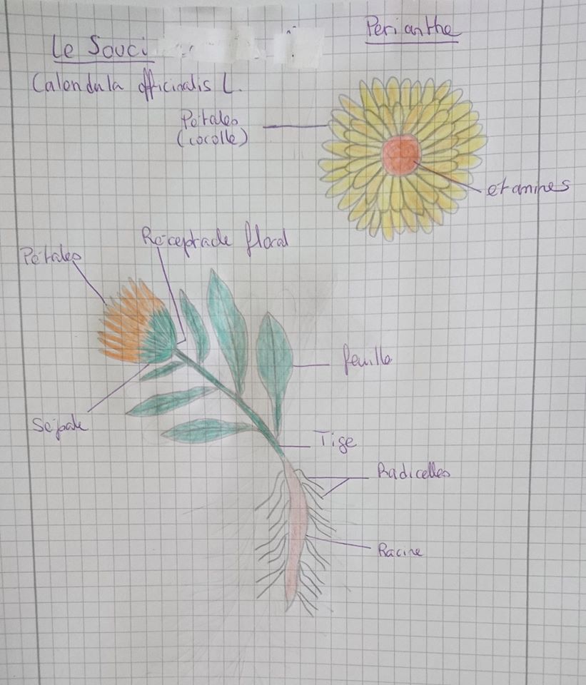 Annexe 91782823_10221927666681642_8402842376317435904_o.jpg