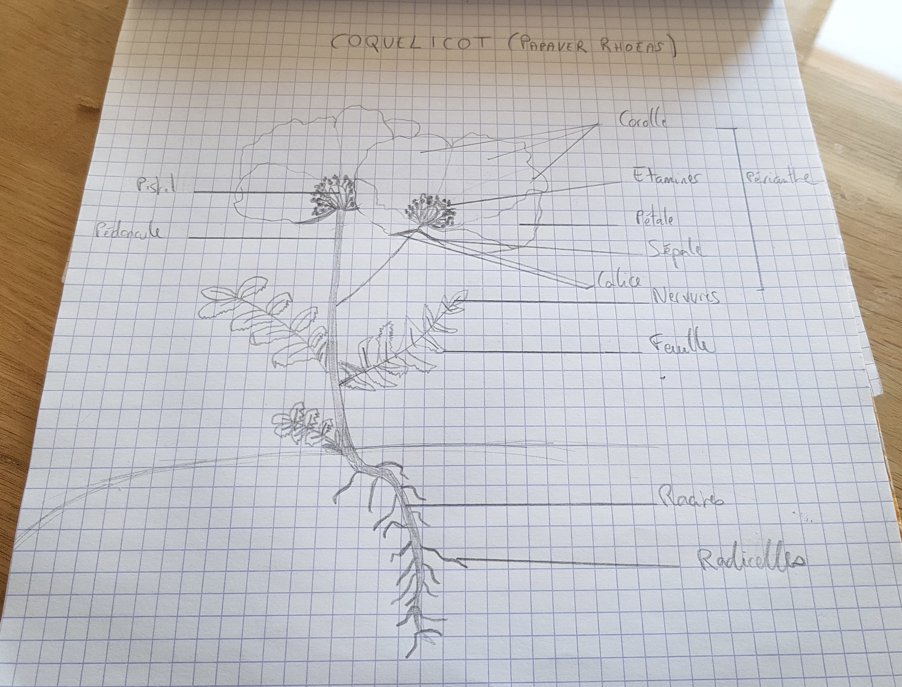 Annexe 92131238_2839599762803417_6082773683800113152_n.jpg