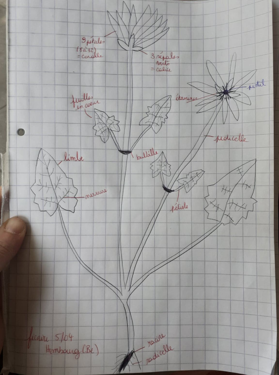 Annexe 92246600_242222523628762_4082338059473911808_n.jpg