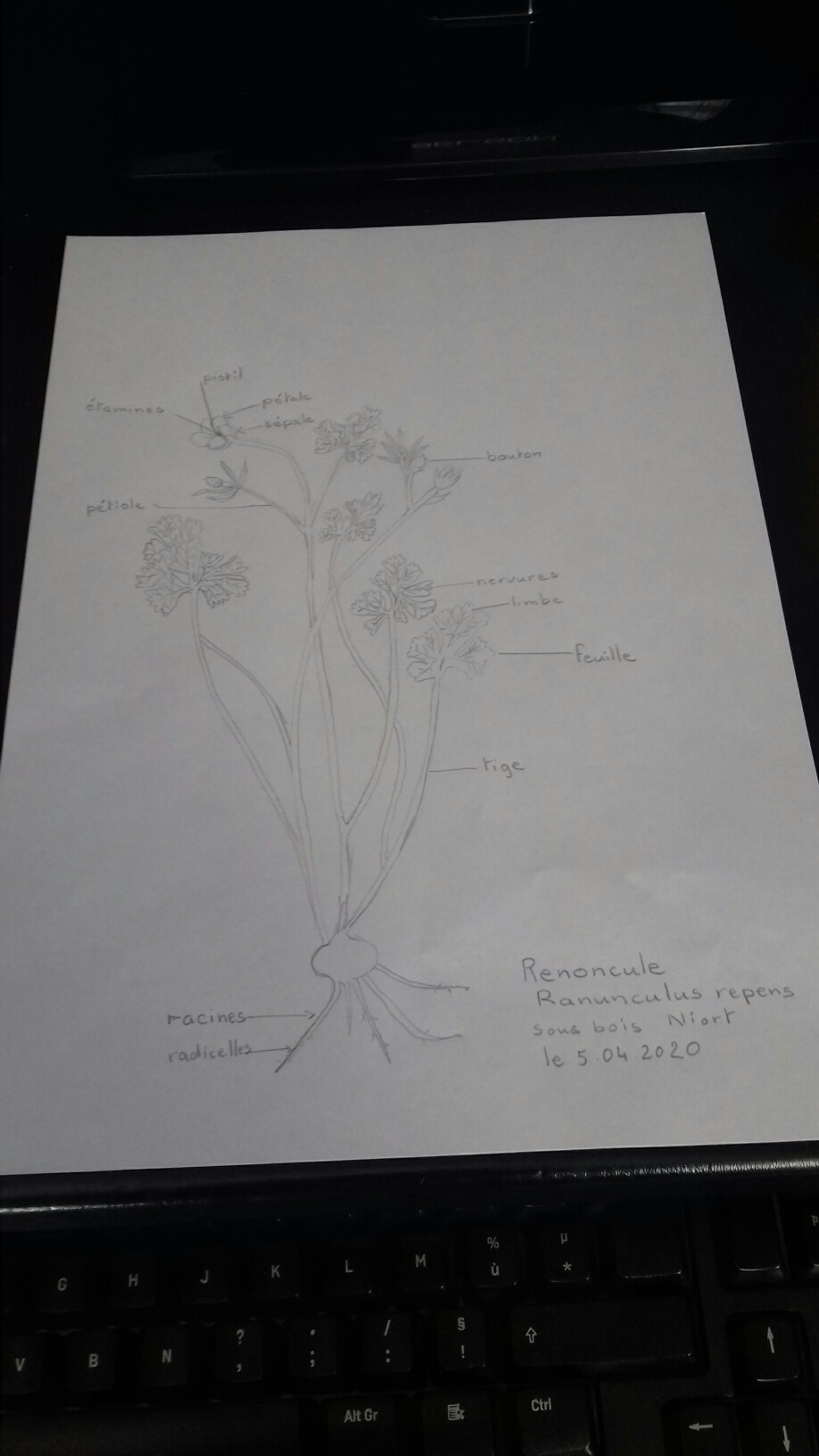 Annexe 20200405_144834_resized (1).jpg