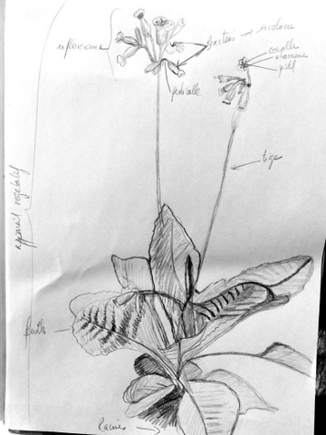 Annexe IMG_20200403_162949.jpg