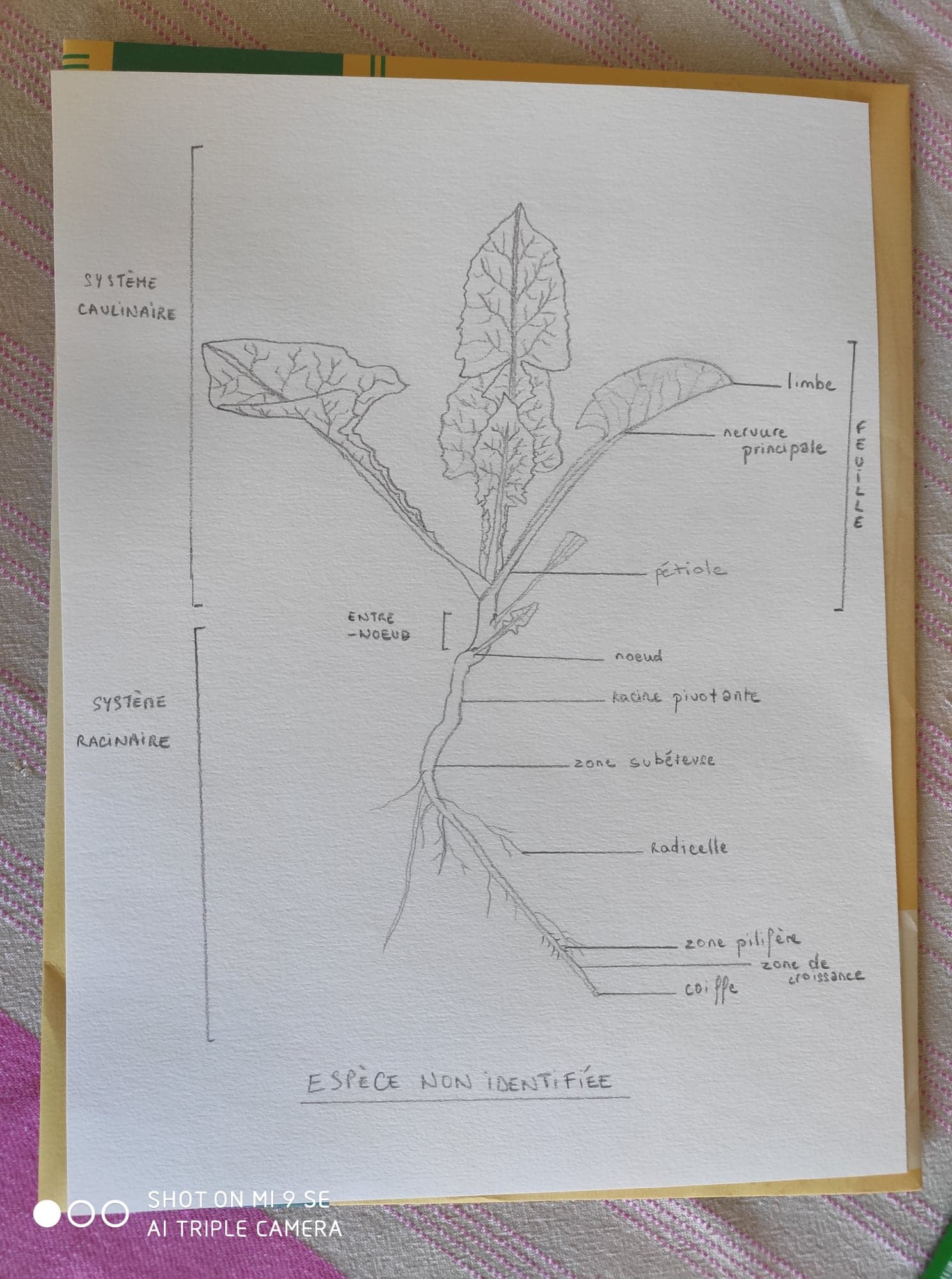 Annexe 92325988_1563135027184641_445156983520100352_n.jpg