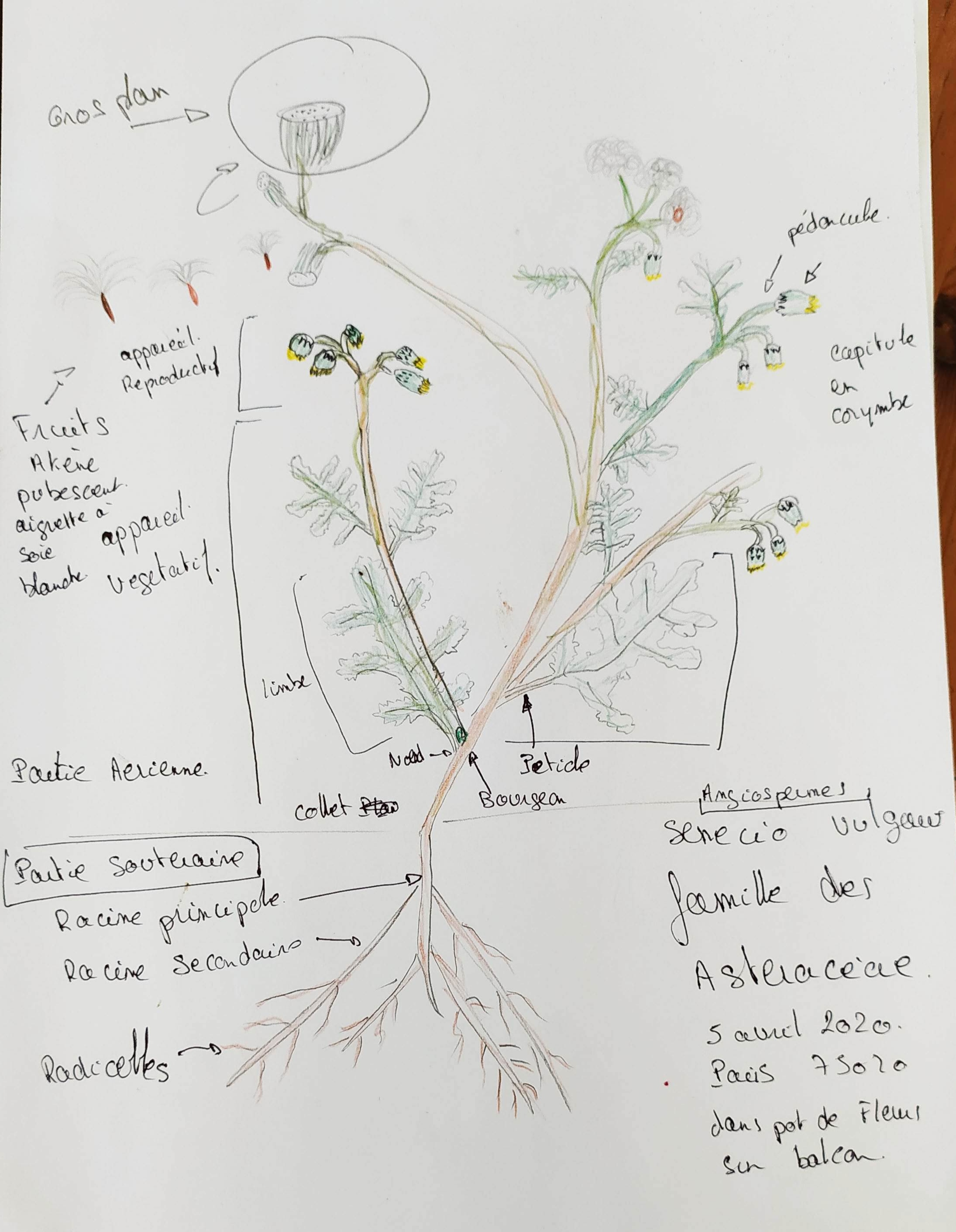 Annexe IMG_20200405_180257.jpg