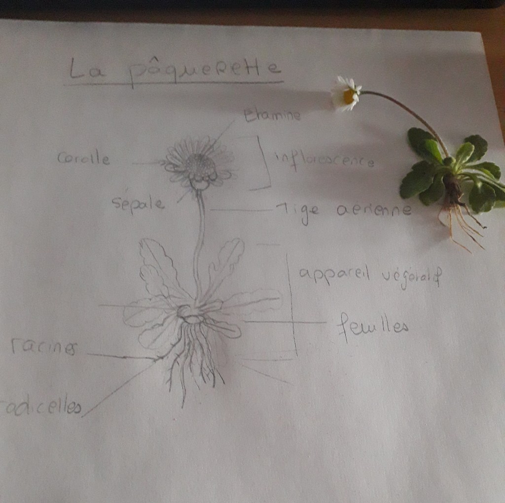 Annexe Images redimensionnées - 1.jpg