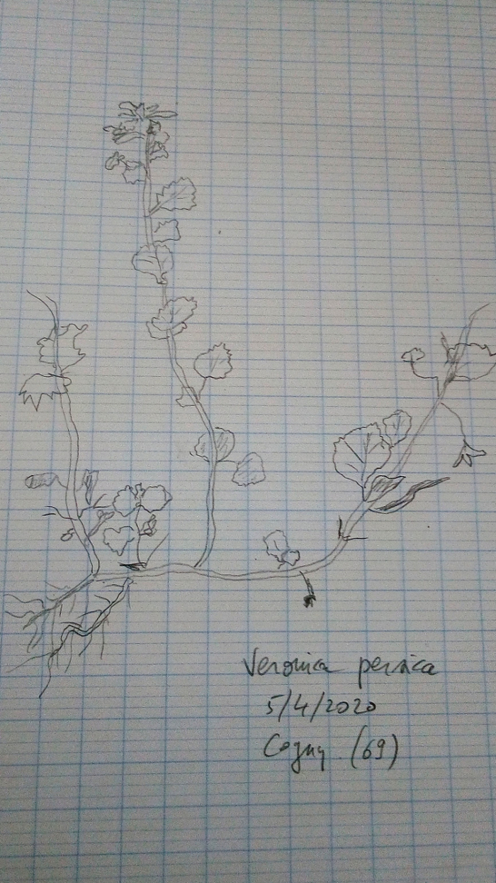 Annexe IMG_20200405_210745.jpg