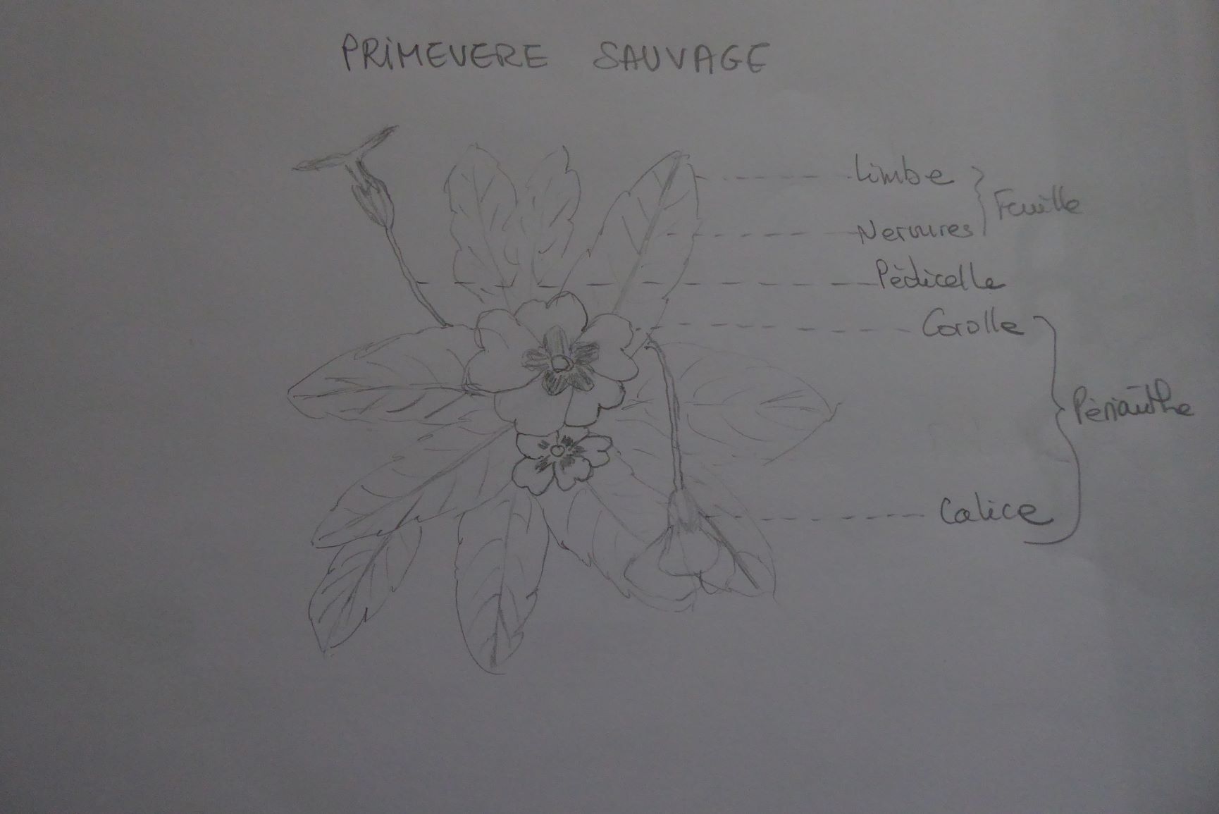 Annexe P1030439_0.JPG