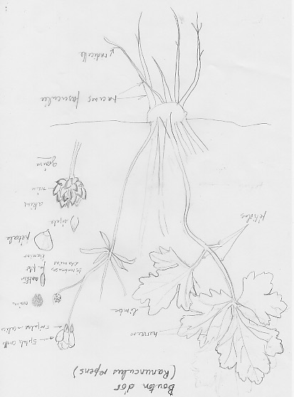 Annexe Numériser.jpeg
