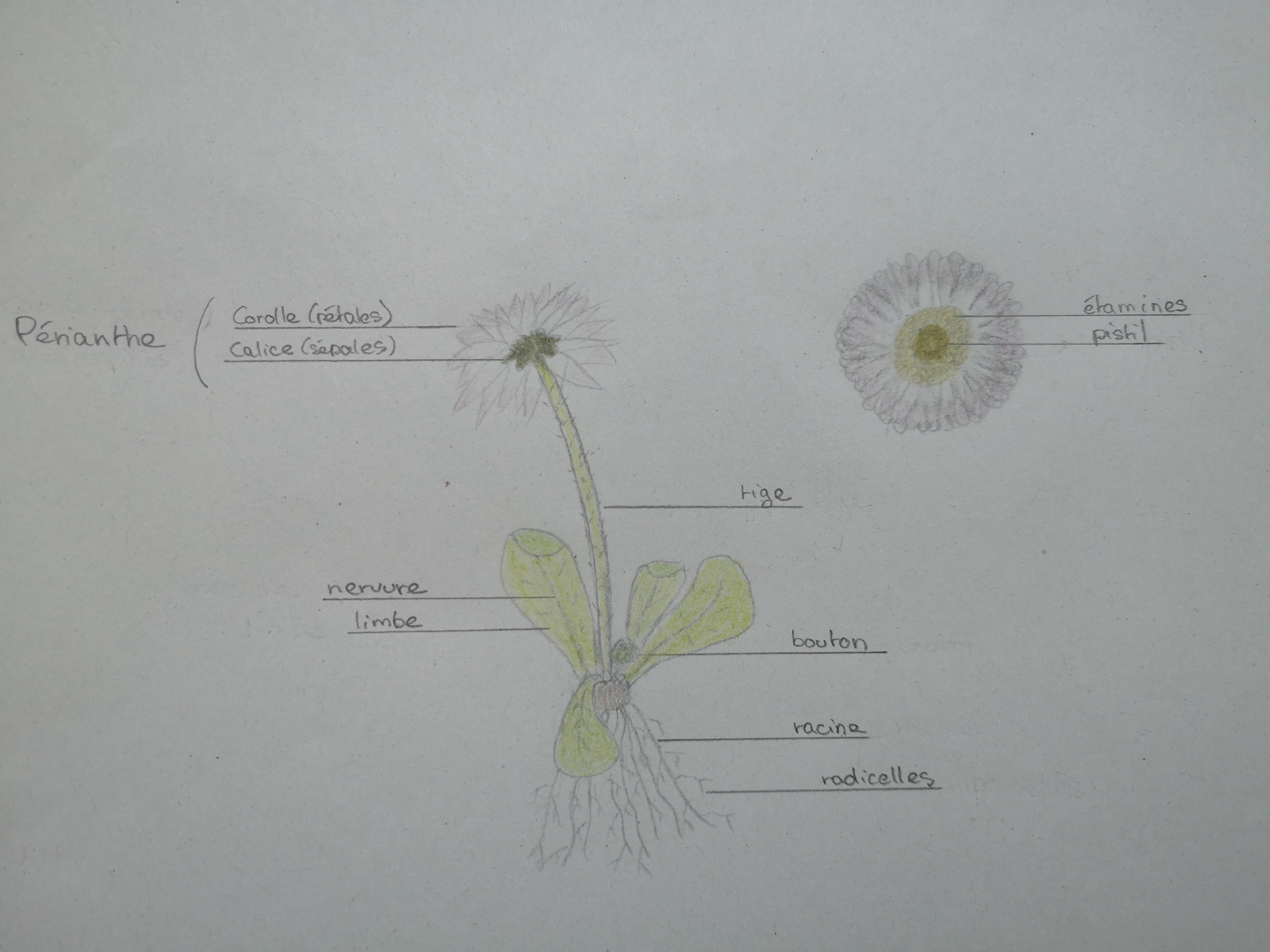 Annexe IMG_20200406_150253-min.jpg