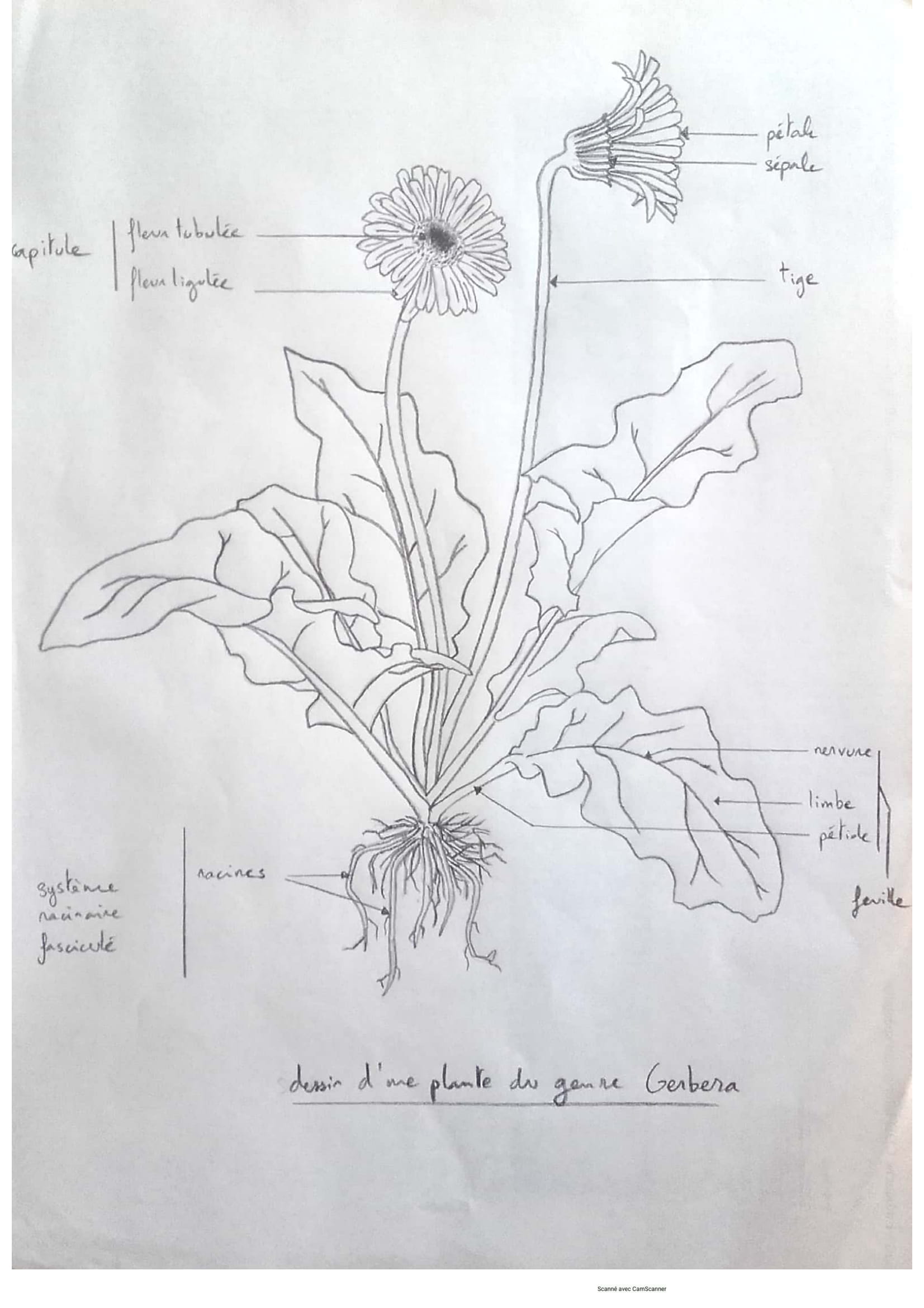 Annexe Nouveau document 04-06-2020 17.40.04-1.jpg