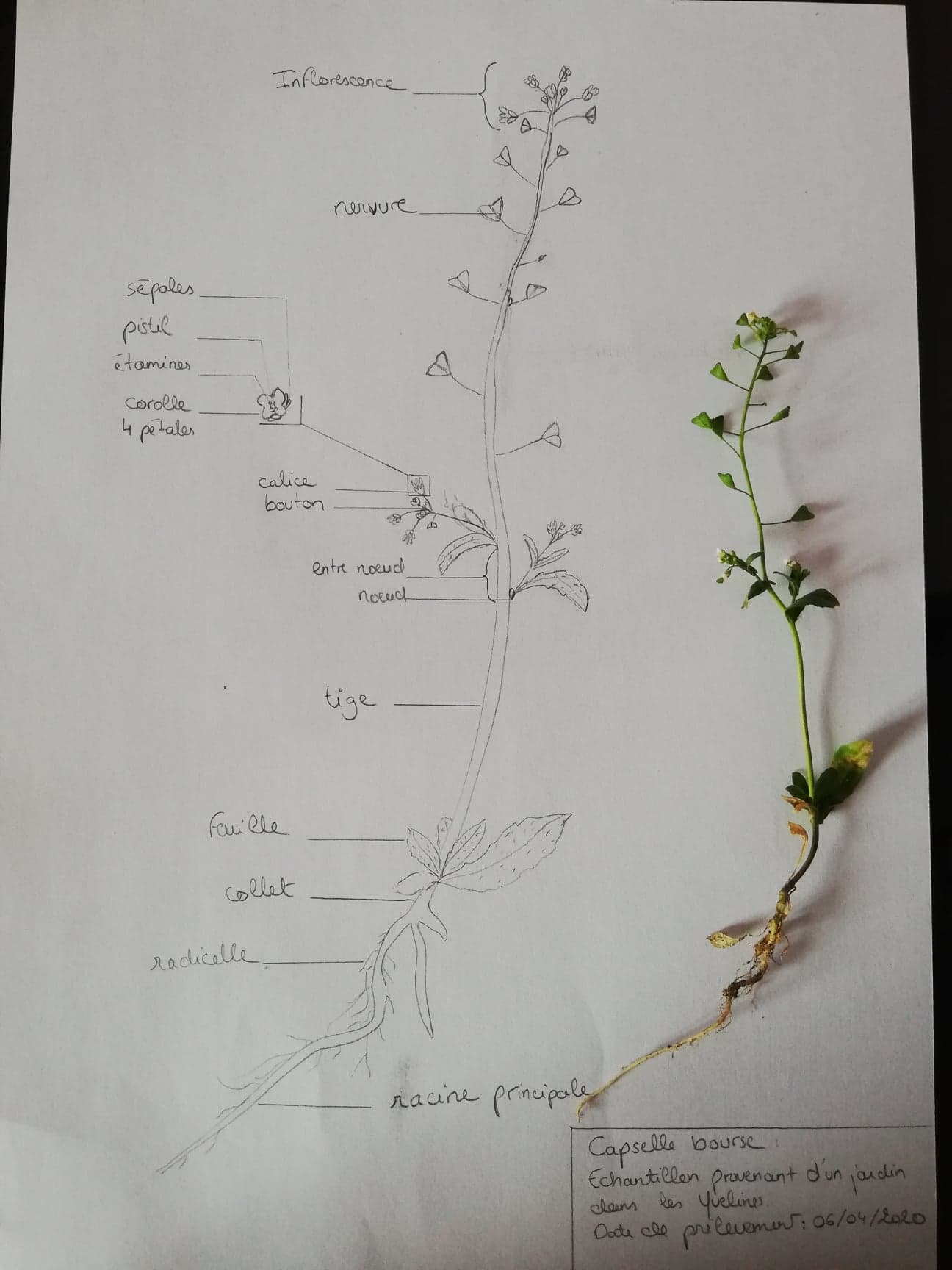 Annexe 92005646_269031457421967_5250014473254600704_n.jpg