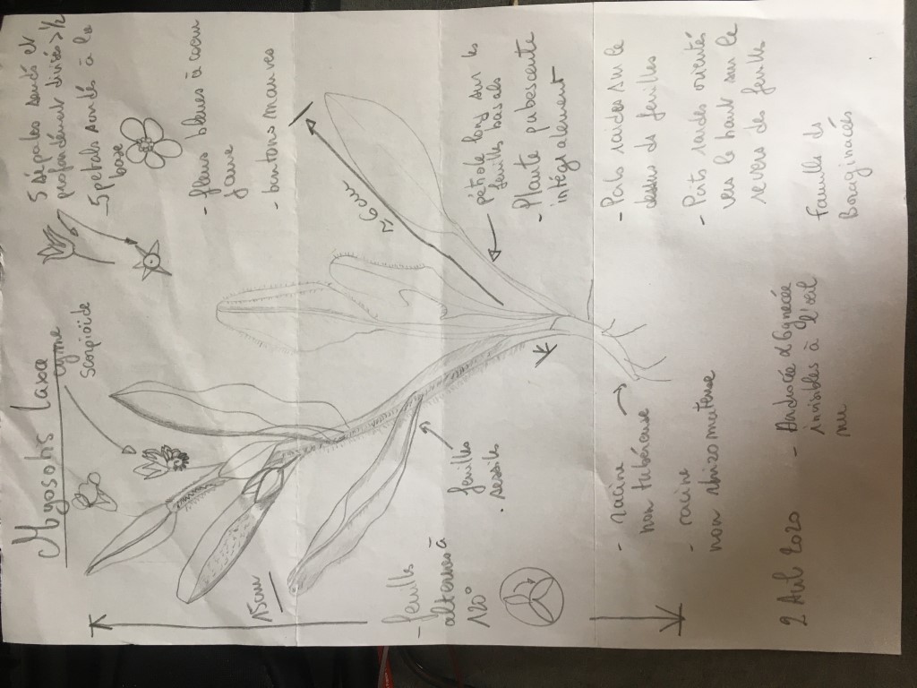 Annexe image_123923953.JPG