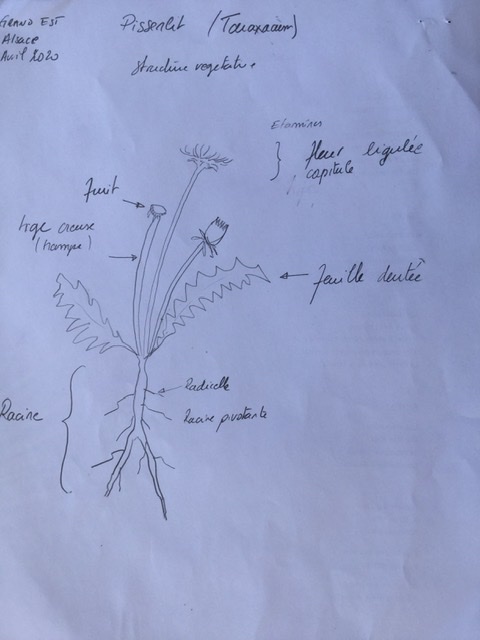 Annexe 5AB1B6BE-ADD8-413C-8E85-C1FE3DD995E8.jpeg