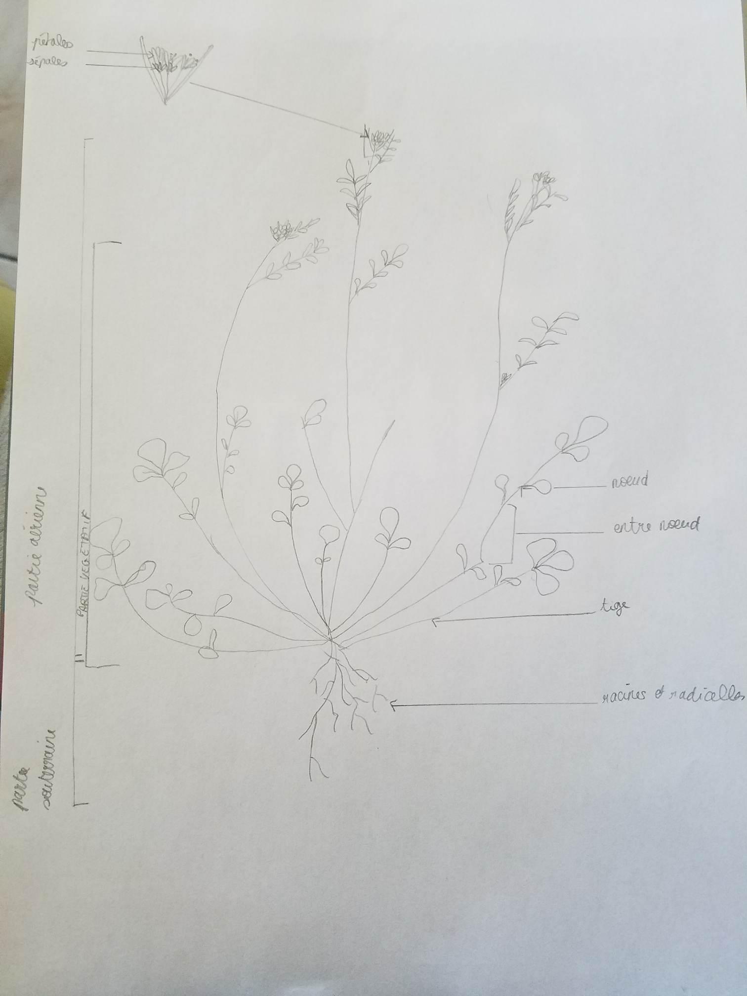 Annexe 92849577_580132635938009_4628863671408263168_n.jpg