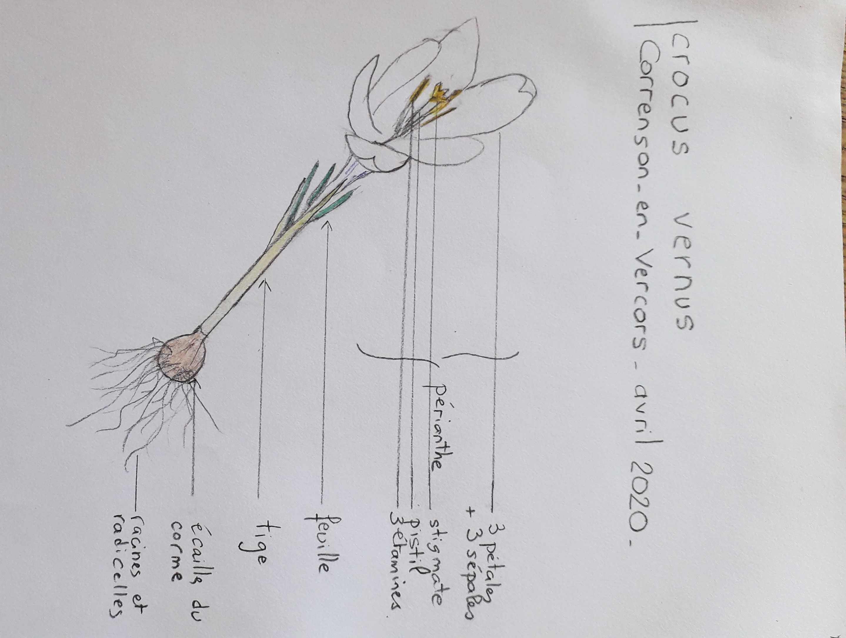 Annexe 20200407_113655.jpg