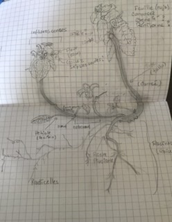 Annexe 4C39237C-30D7-45E1-9F64-F8D32D773F8E.jpeg