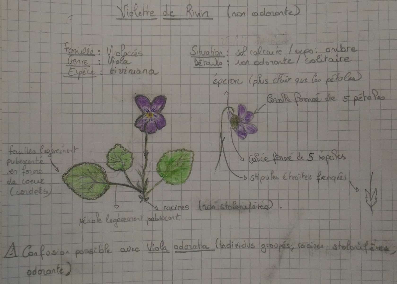 Annexe _copie-0_P_20200407_141644.jpg