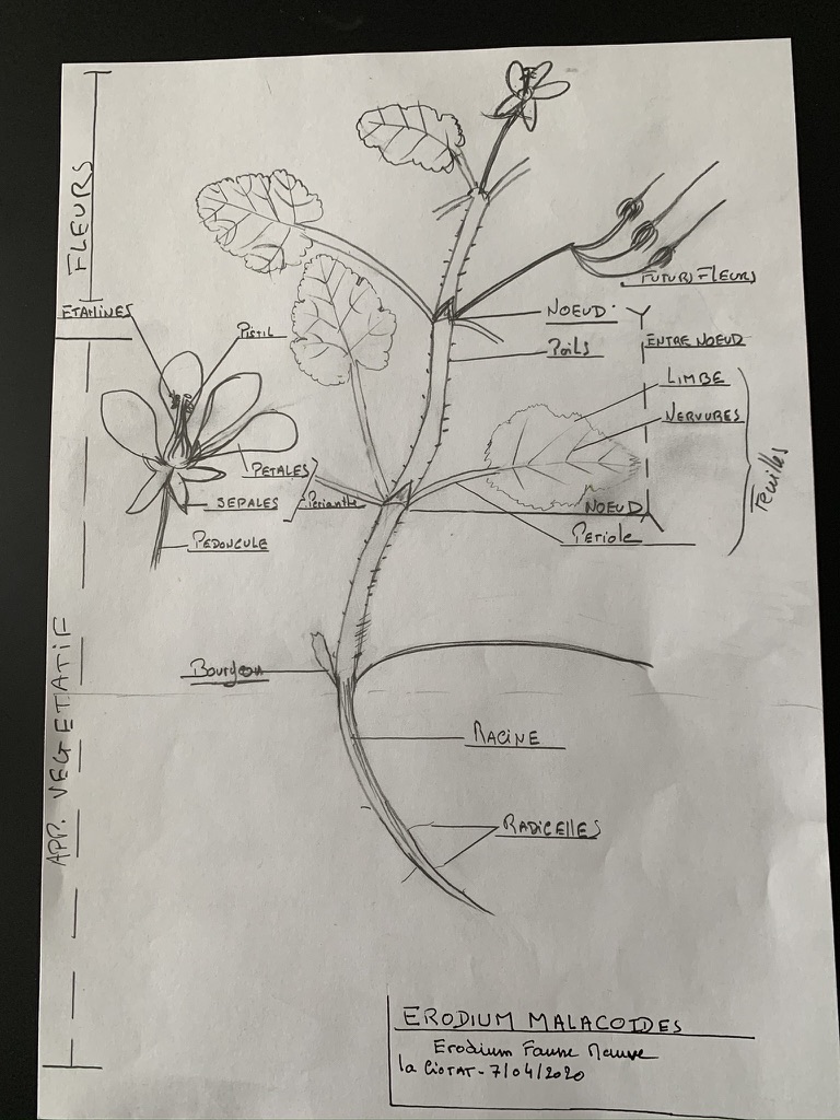 Annexe B67E7E69-5286-4F8B-AF51-73ABA506785F_1_105_c.jpeg