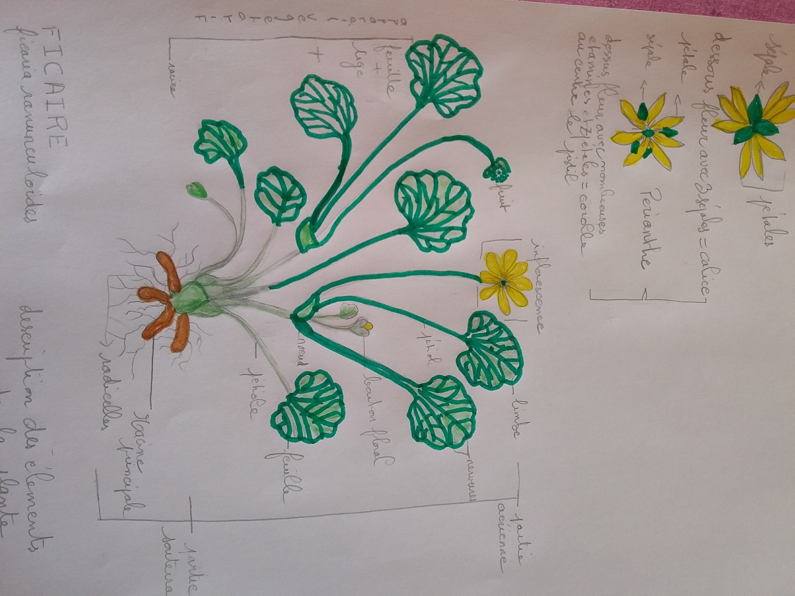 Annexe 20200407_164332_resized.jpg