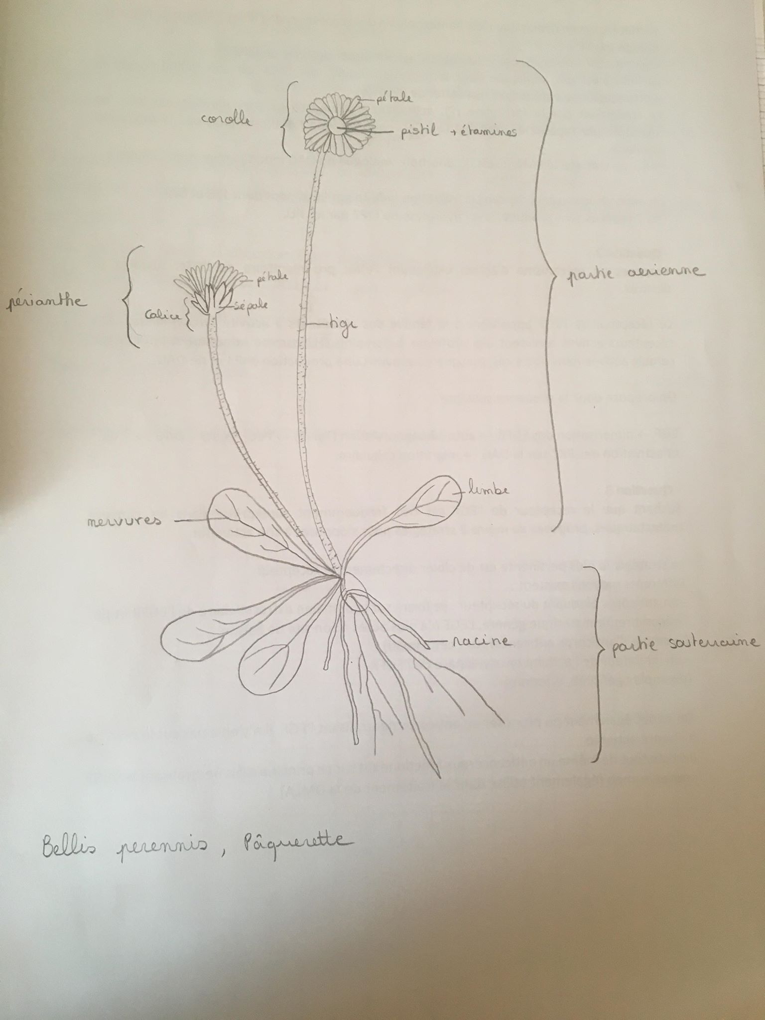 Annexe 92473923_206853153946723_2643758619312521216_n.jpg