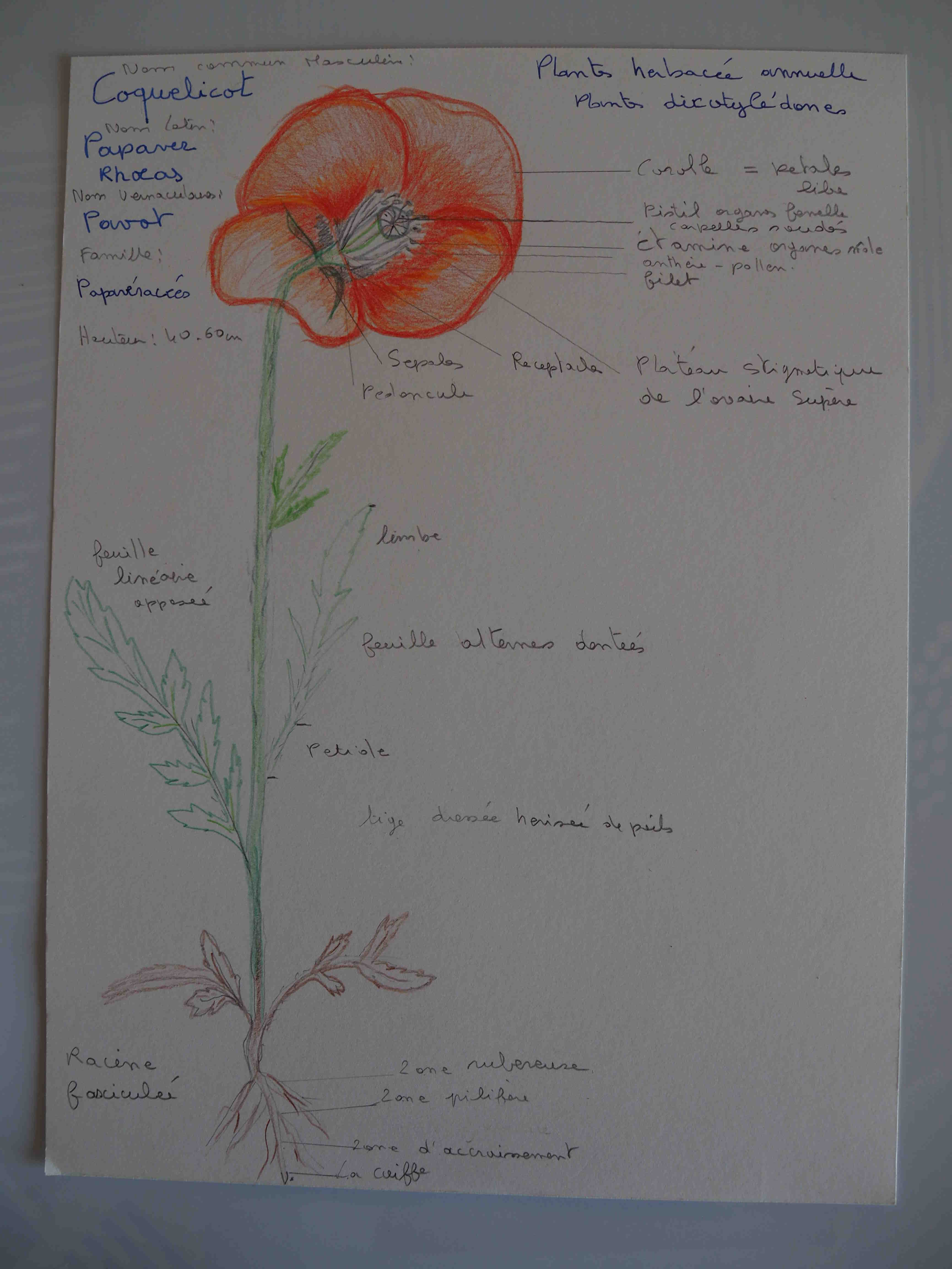 Annexe P1010024(1).jpg