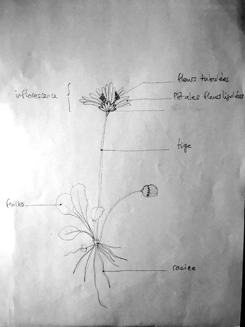 Annexe thumbnail_IMG_2747.jpg