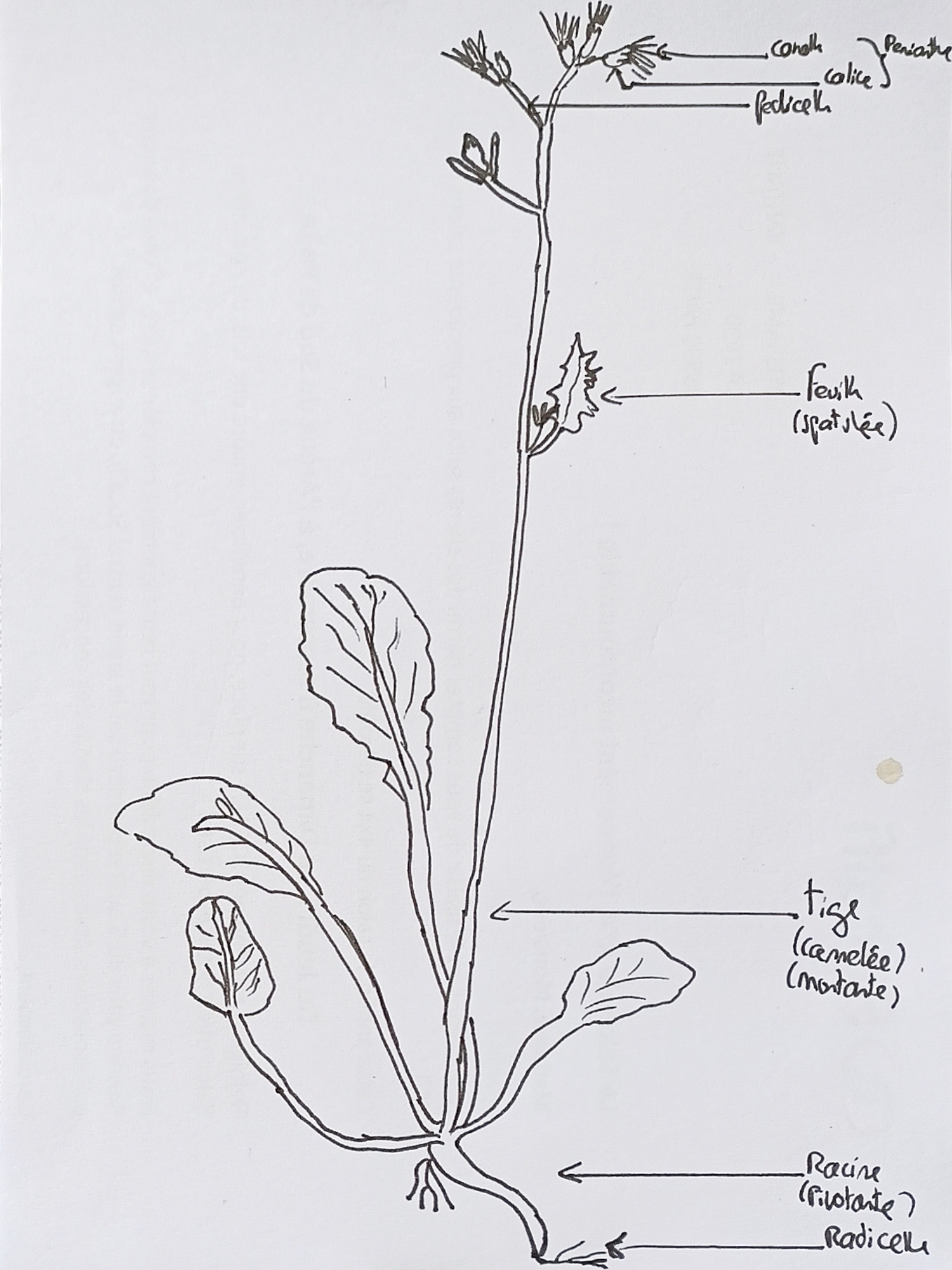 Annexe 1586304061215-10cc27b6-a369-4762-aae7-c5352fb75f77_.jpg