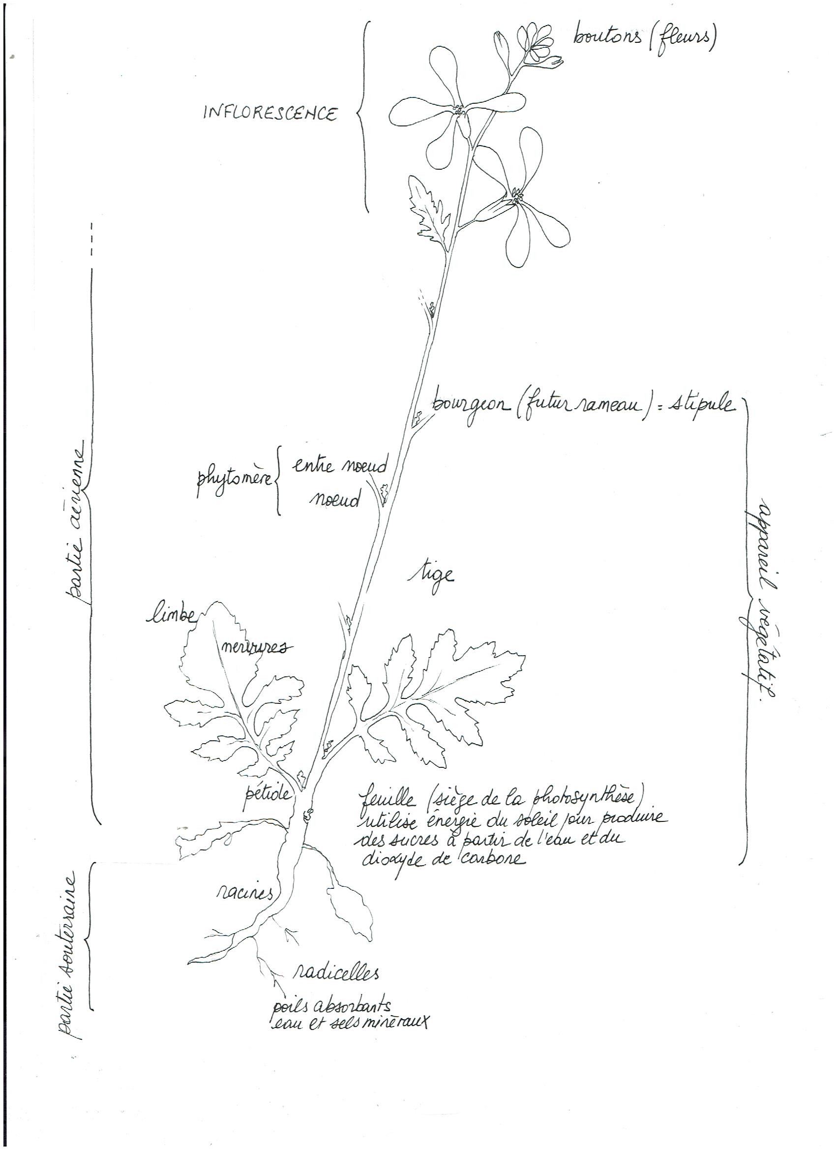 Annexe Image (101).jpg