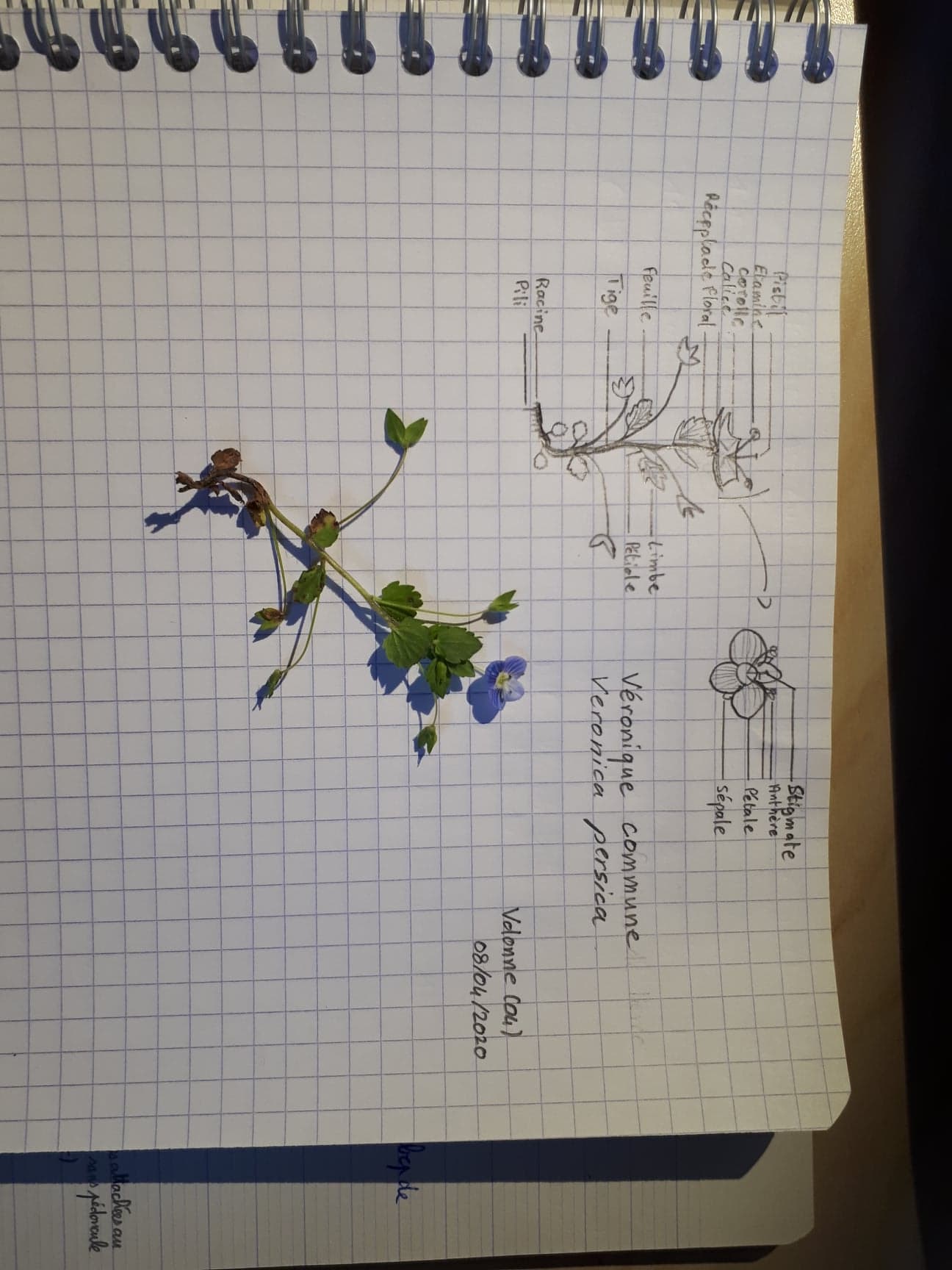 Annexe 92458853_617398038815313_3752283918858977280_n.jpg