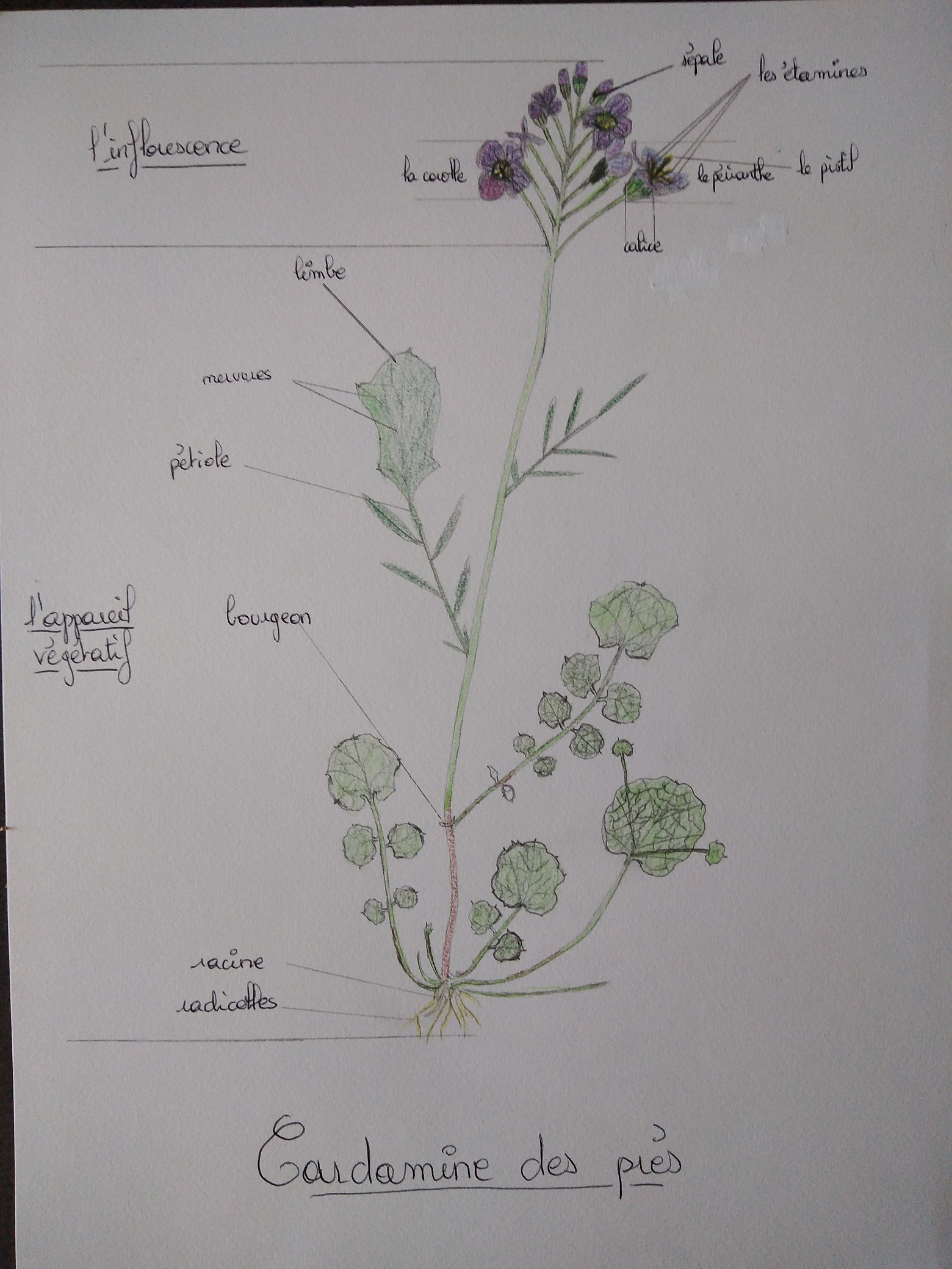 Annexe IMG_20200408_145023.jpg