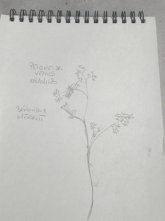 Annexe IMG_4261 2.jpeg