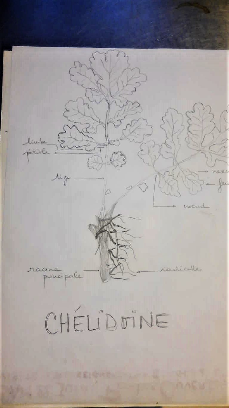 Annexe 92506921_228636911820911_6758499398126141440_n.jpg