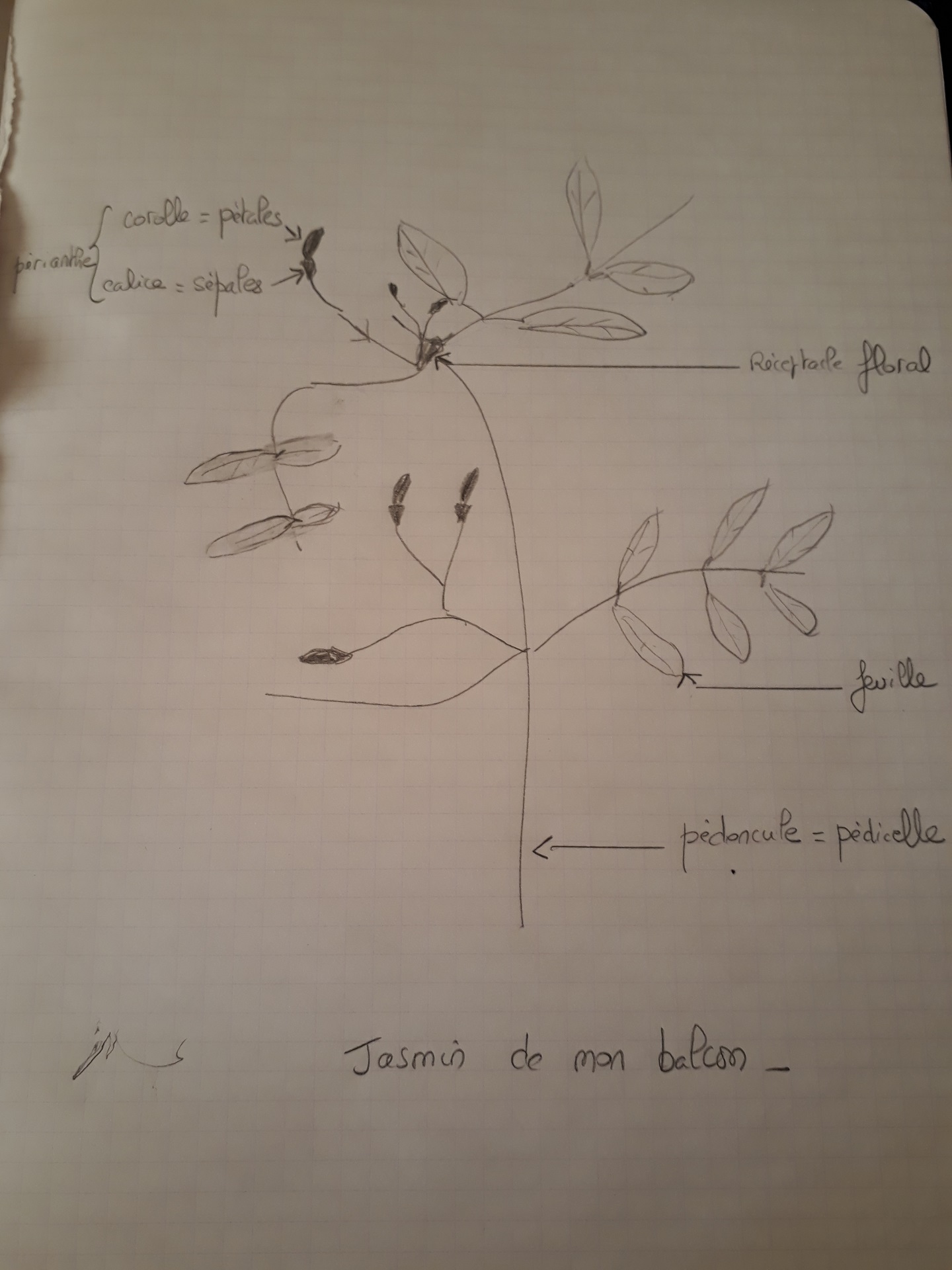 Annexe 20200408_190122.jpg