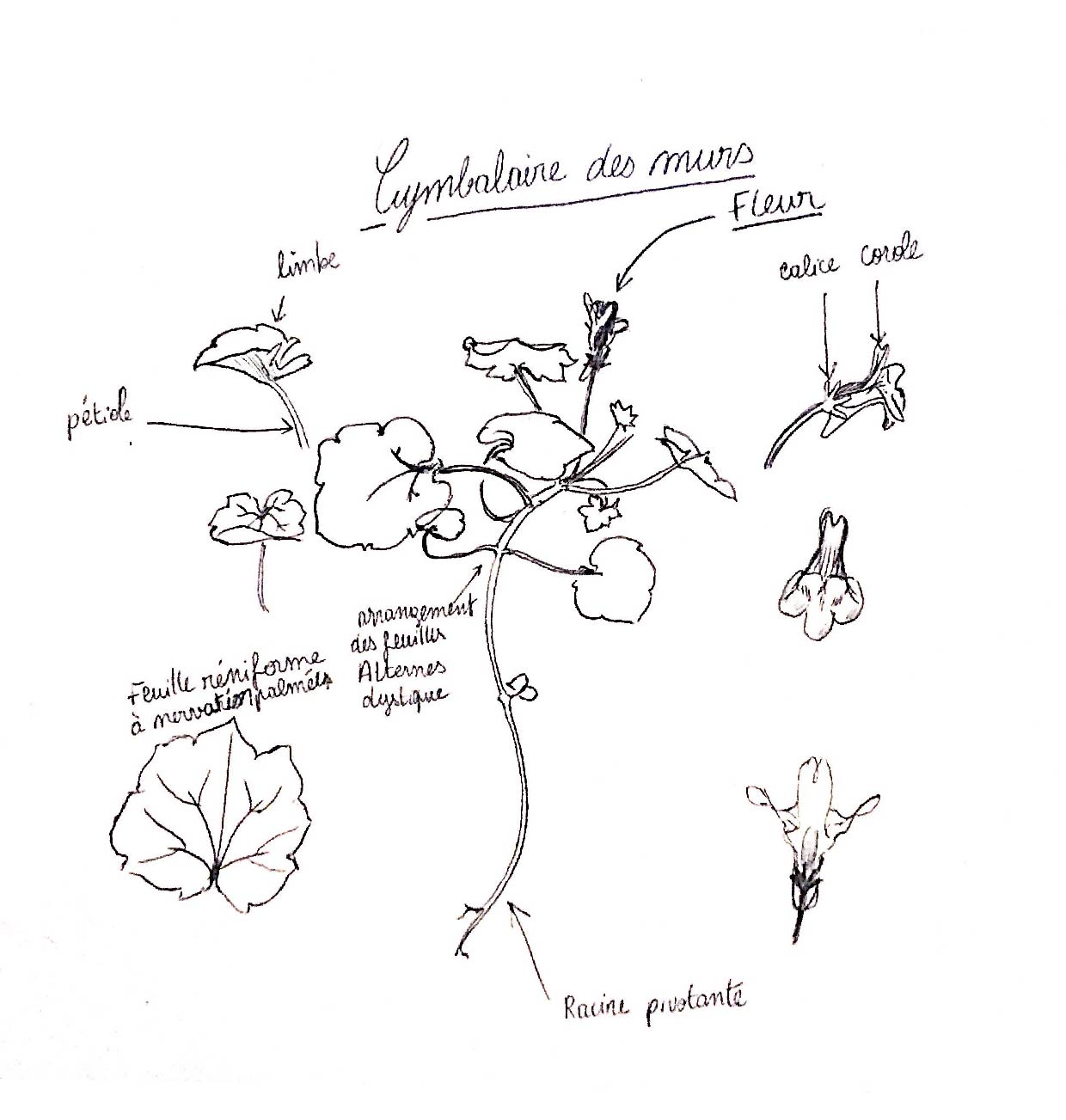 Annexe nouveau document 04-09-2020 13.47.29-01.jpg