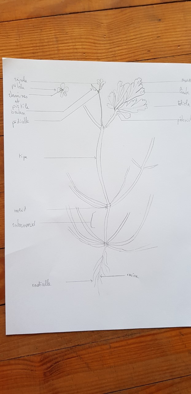 Annexe thumbnail_20200409_161037.jpg