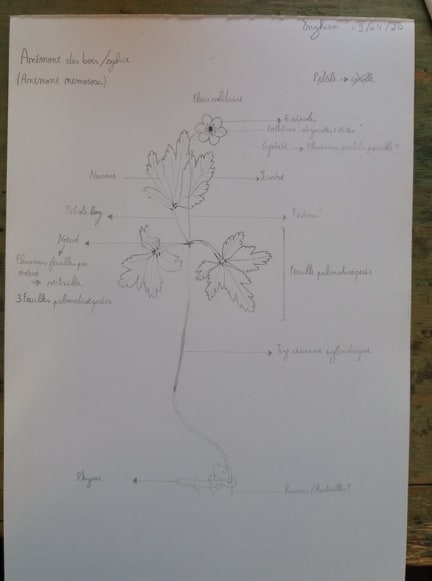 Annexe 92664735_299645881018659_6257368897566015488_n.jpg