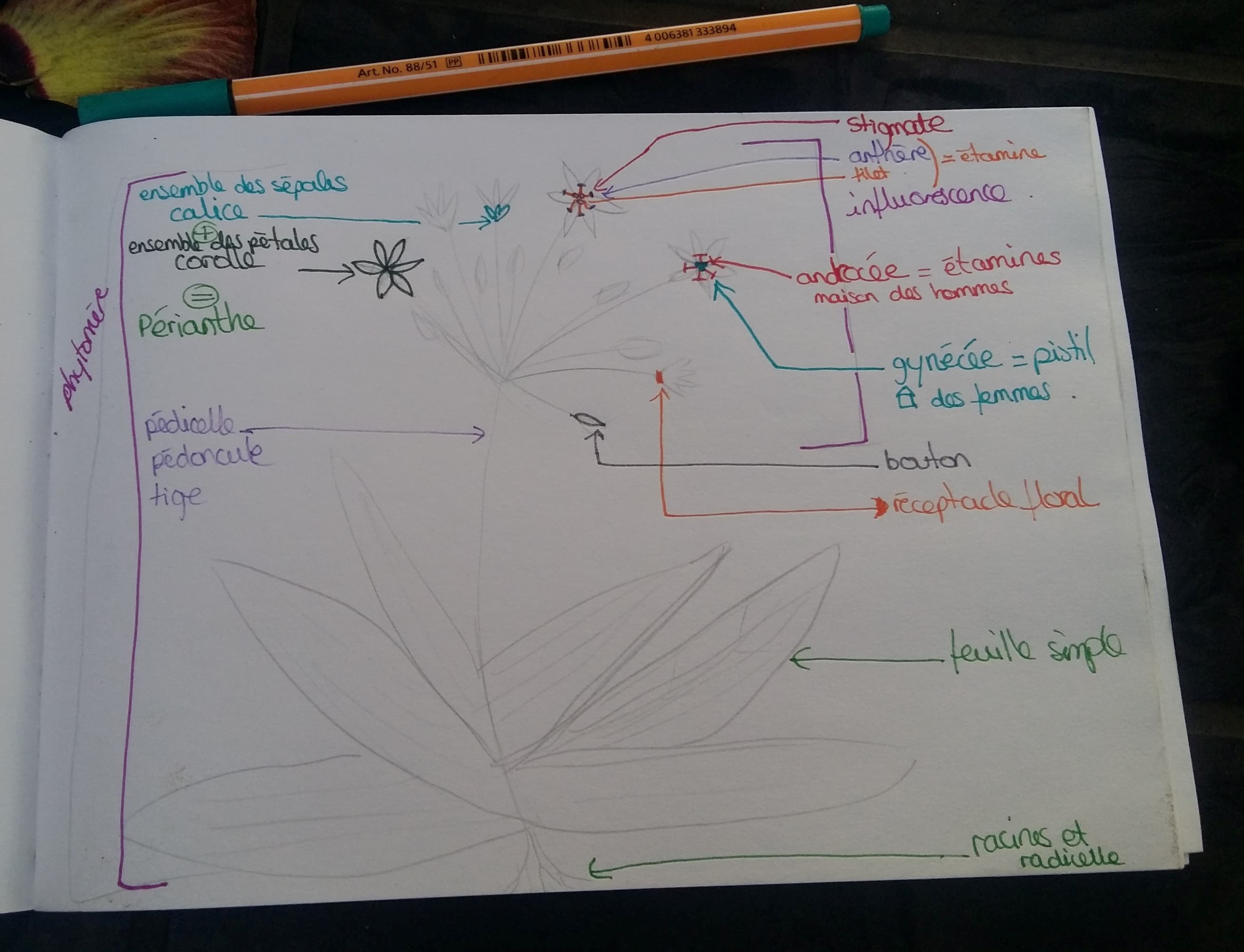 Annexe 93282498_815583385617355_8373443685953568768_n.jpg