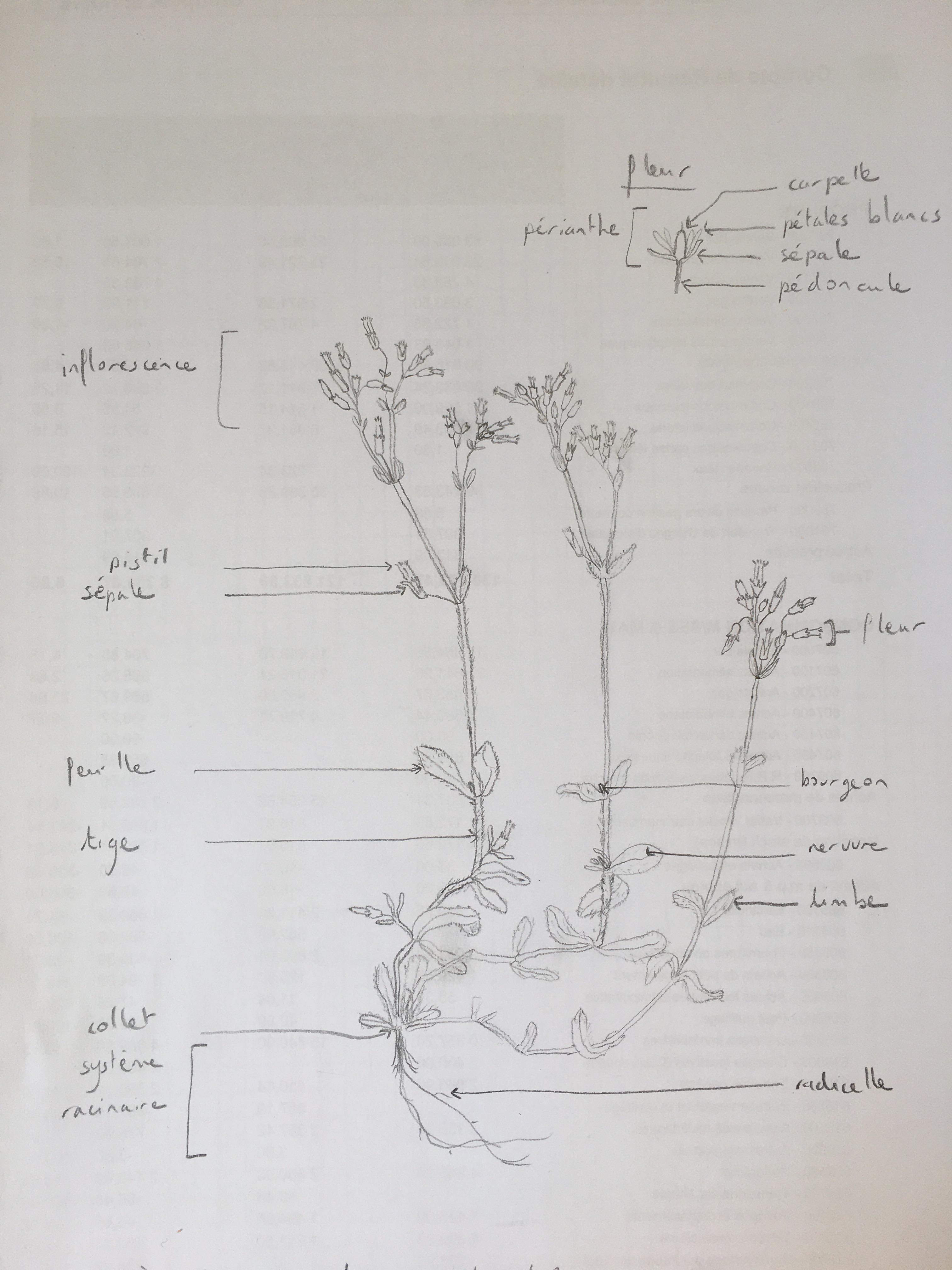 Annexe 92456420_213650863414889_8070696767017975808_n.jpg