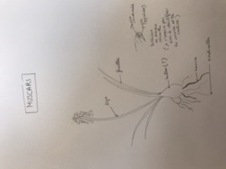 Annexe 6EBD154B-2885-4C2D-BB93-B758EED867E8.jpeg