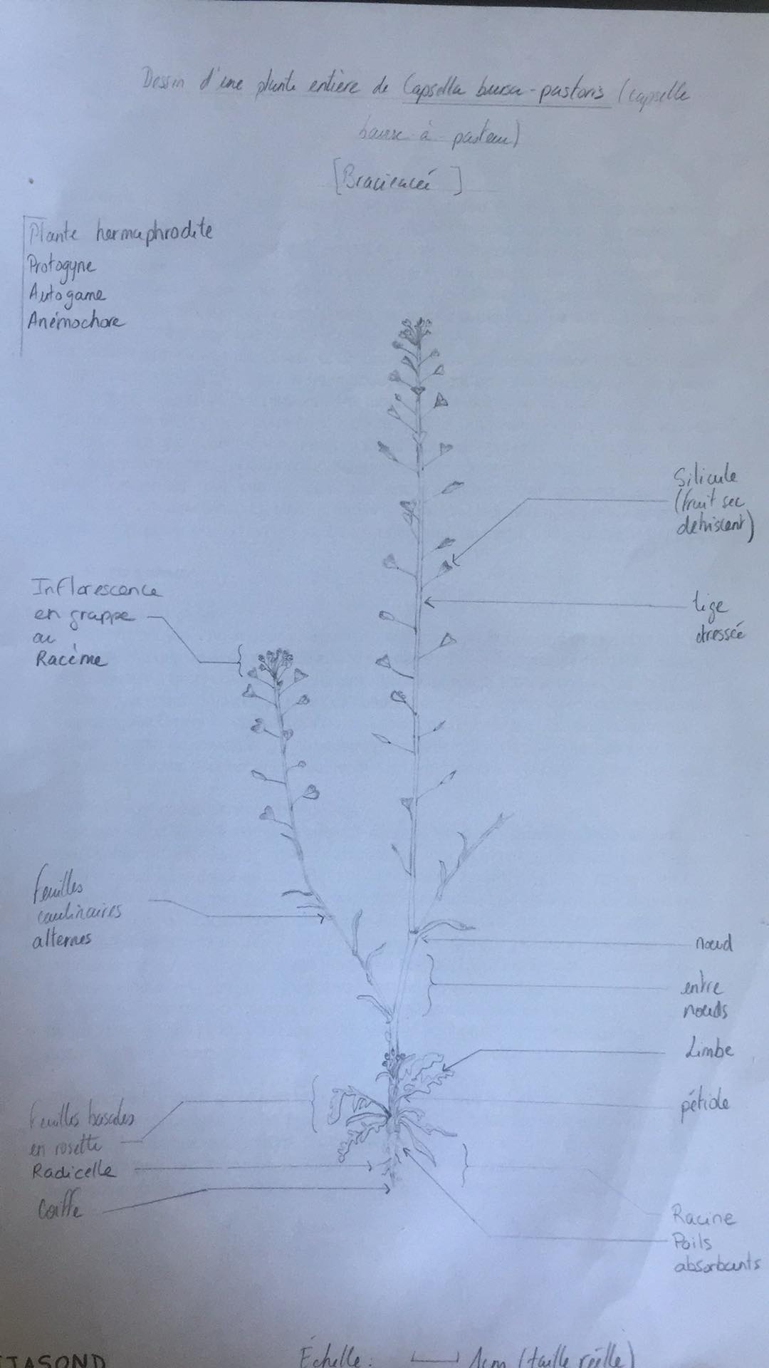 Annexe 92741826_526997541210157_3007443930108133376_n.jpg